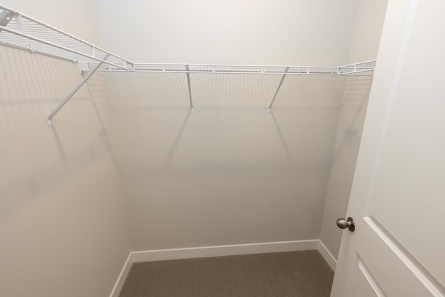 spacious closet with carpet