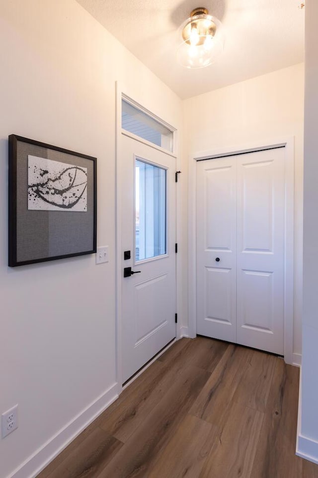 entrance foyer with dark wood-type flooring