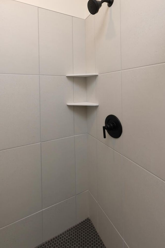 room details featuring tiled shower