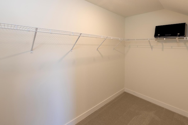 spacious closet featuring carpet floors