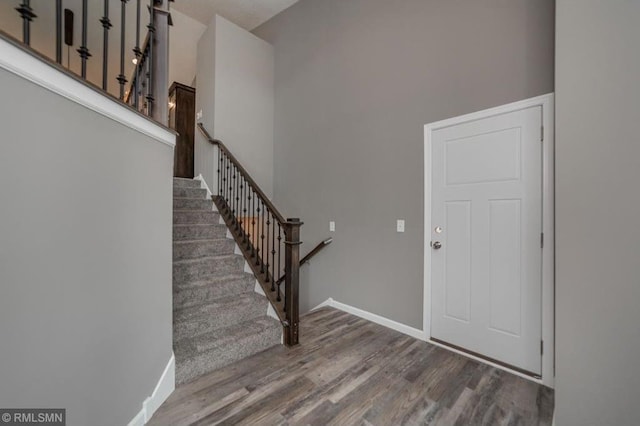 foyer with wood-type flooring