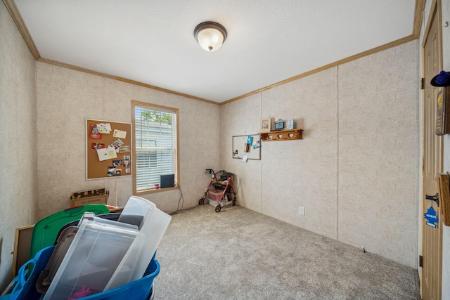 interior space featuring crown molding and carpet floors