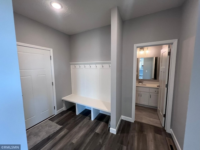 mudroom with dark wood-type flooring and sink