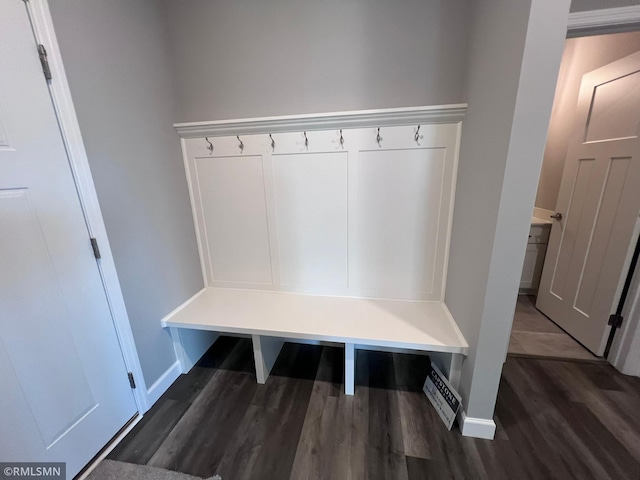 mudroom with dark hardwood / wood-style flooring