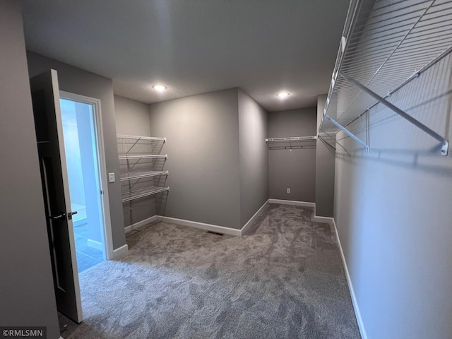 spacious closet featuring carpet flooring