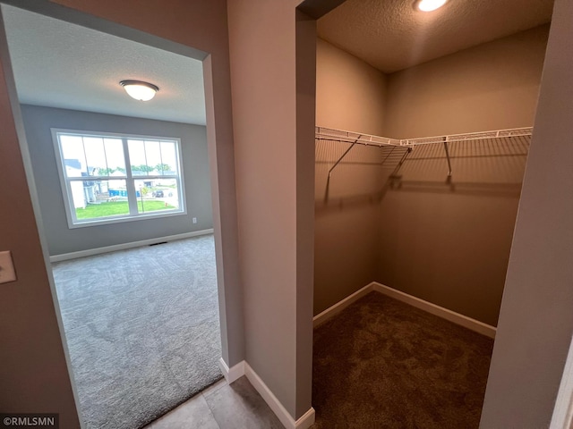 spacious closet with light colored carpet