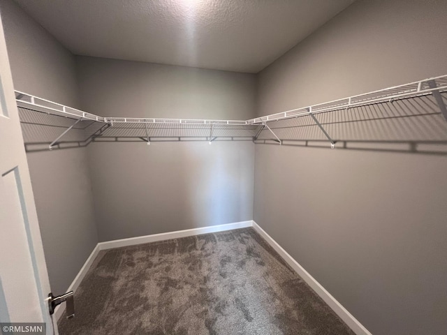 walk in closet with carpet