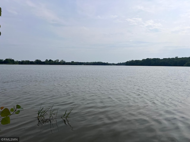 view of water feature