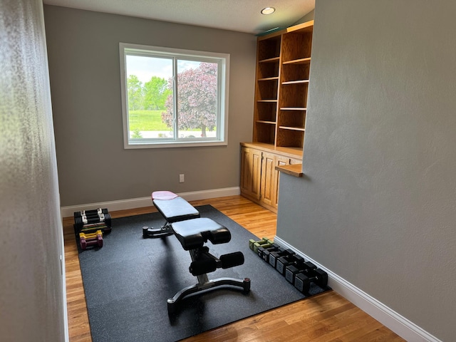 exercise room featuring light hardwood / wood-style floors