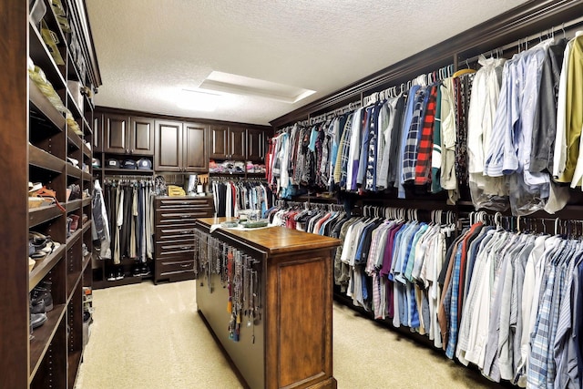 walk in closet with light colored carpet