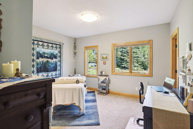 bedroom featuring carpet floors and a textured ceiling