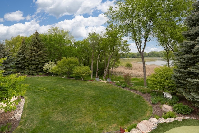 view of yard with a water view