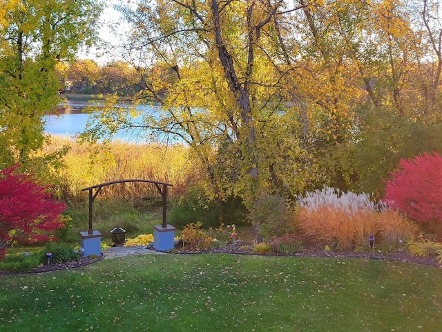 view of yard with a water view