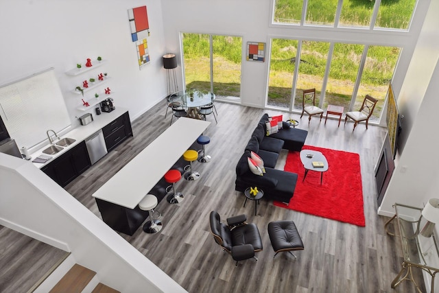 living room featuring hardwood / wood-style floors, a high ceiling, and sink