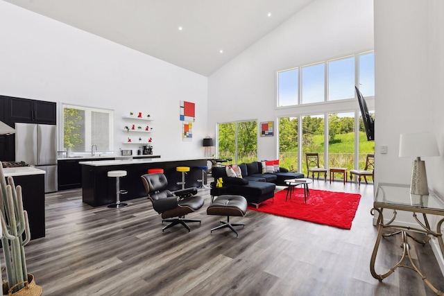 living room featuring sink, a towering ceiling, and wood-type flooring