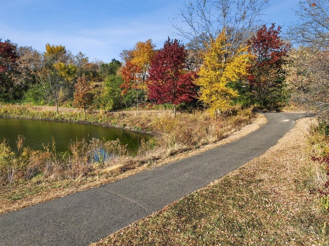 13656 Aulden Ave, Rosemount, MN 55068 - view of street