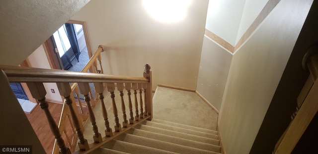 staircase featuring carpet