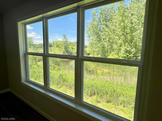 entryway featuring a wealth of natural light