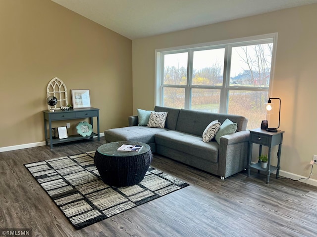 living room featuring hardwood / wood-style floors