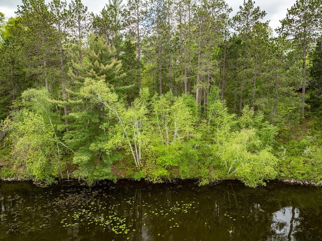TBD Dodder Ln SW, Loon Lake Twp, MN 56472