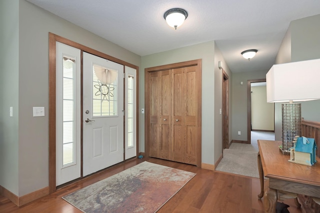 foyer featuring wood-type flooring