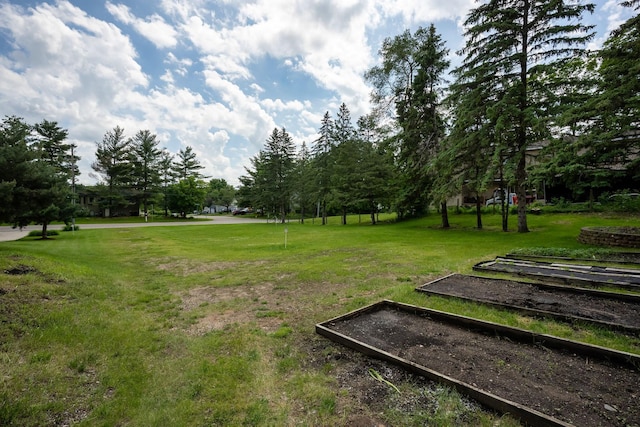 view of home's community with a yard