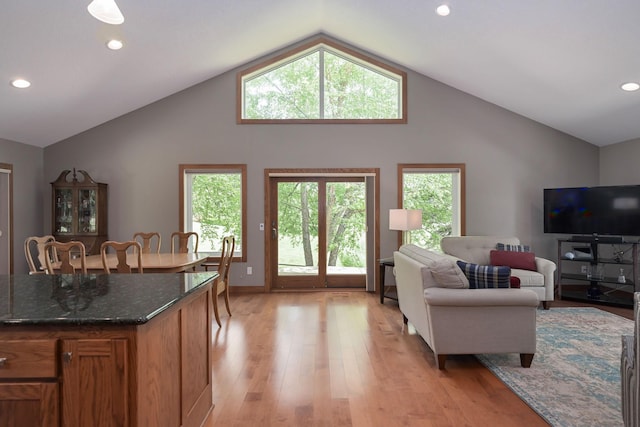 living room with lofted ceiling and light wood-type flooring