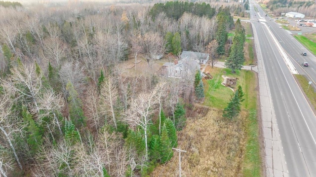 5480 Miller Trunk, Hermantown, MN 55811 - photo 4
