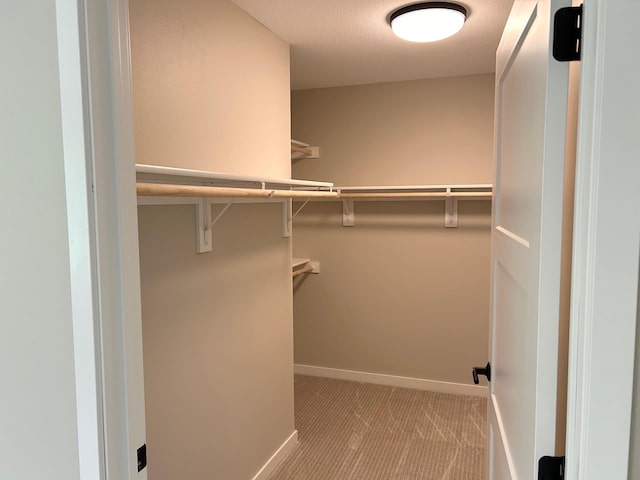 spacious closet featuring light carpet