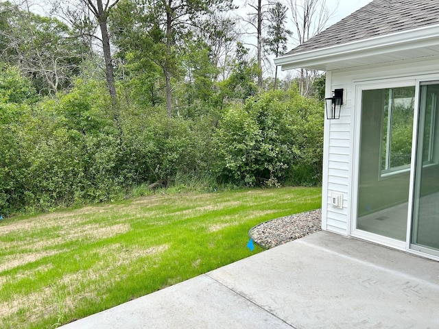 view of yard featuring a patio area