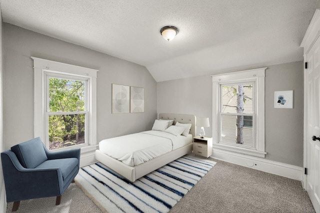 2806 Aldrich Ave N, Minneapolis, MN 55411 - carpeted bedroom featuring multiple windows, a textured ceiling, and vaulted ceiling