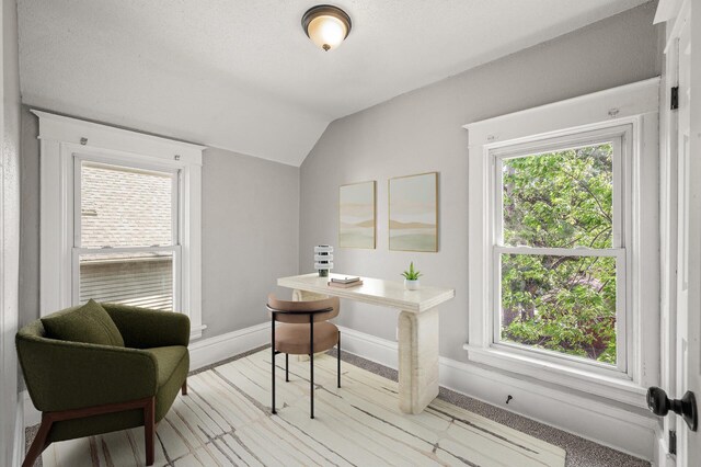 2806 Aldrich Ave N, Minneapolis, MN 55411 - home office featuring vaulted ceiling, plenty of natural light, baseboards, and light wood-style floors