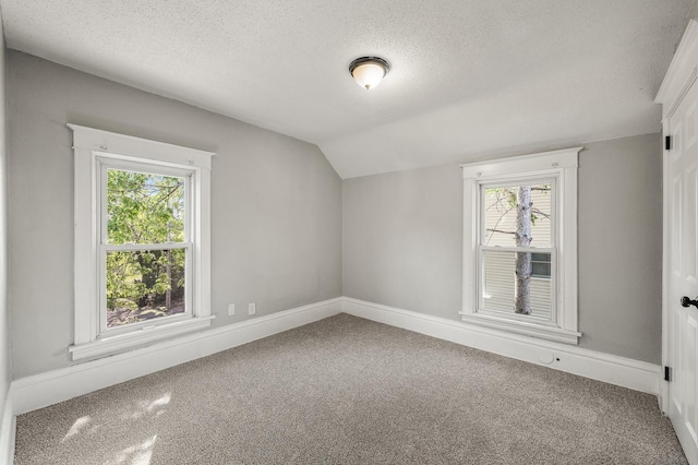 2806 Aldrich Ave N, Minneapolis, MN 55411 - additional living space featuring carpet floors, a textured ceiling, healthy amount of natural light, vaulted ceiling, and baseboards