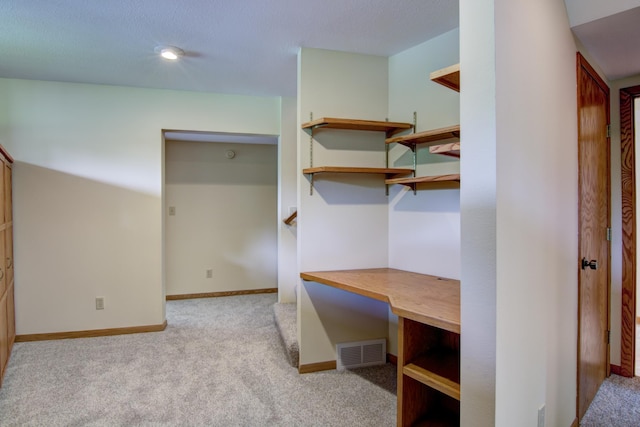 spacious closet with light colored carpet