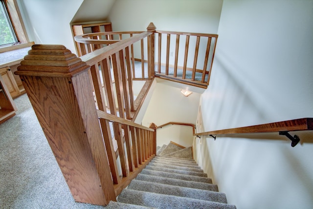 staircase featuring carpet flooring