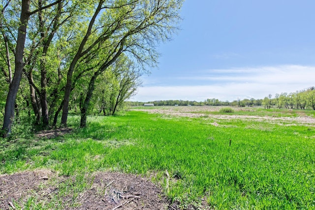 view of mother earth's splendor with a rural view