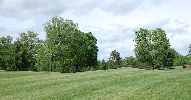 view of community featuring a yard