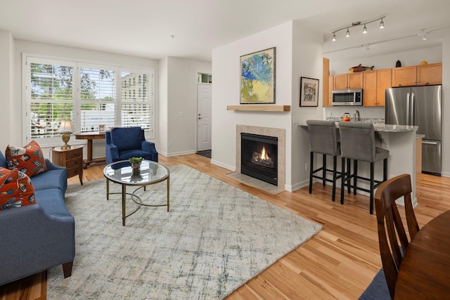 living room with a fireplace and light hardwood / wood-style floors