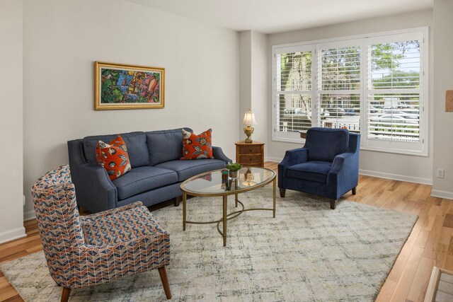 living room featuring wood-type flooring