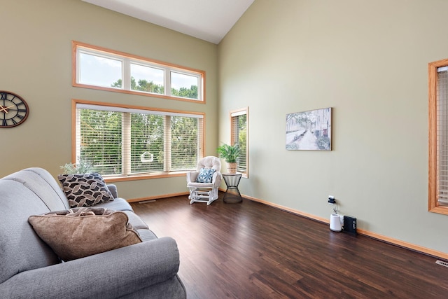 3799 Larabee Ave NE, Saint Michael, MN 55376 - living room with high vaulted ceiling and wood finished floors