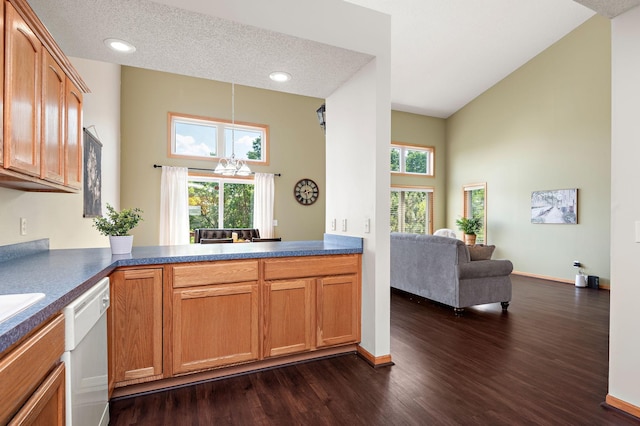 3799 Larabee Ave NE, Saint Michael, MN 55376 - kitchen with white dishwasher, dark wood-style flooring, open floor plan, dark countertops, and a high ceiling
