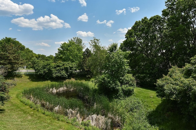 3799 Larabee Ave NE, Saint Michael, MN 55376 - view of undeveloped land