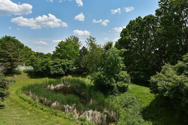 3799 Larabee Ave NE, Saint Michael, MN 55376 - photo 25
