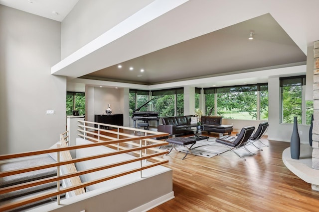 living room featuring a healthy amount of sunlight and light hardwood / wood-style floors