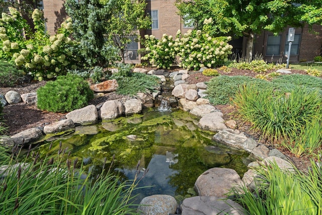 view of yard featuring a small pond