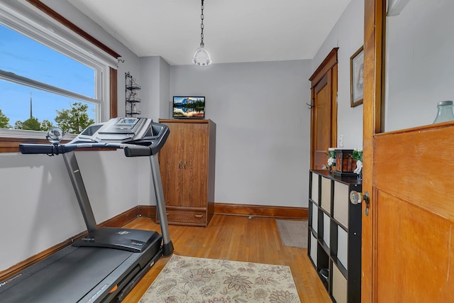 workout room featuring light hardwood / wood-style flooring