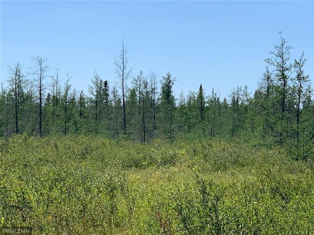 XXX US Highway 169, Palisade MN, 56469 land for sale