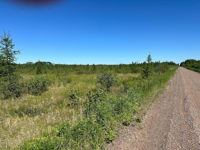 Listing photo 2 for XXX US Highway 169, Palisade MN 56469