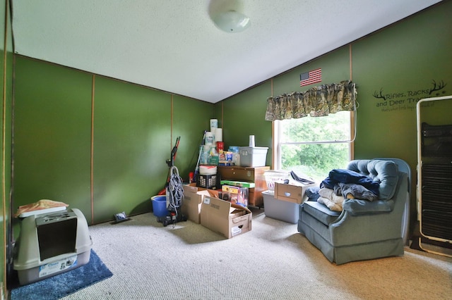 interior space with a textured ceiling, carpet, and lofted ceiling