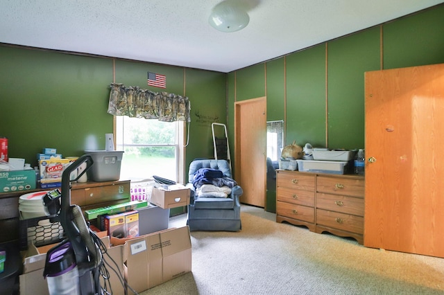 interior space featuring a textured ceiling and carpet flooring